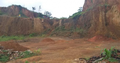 corpo em decoposição