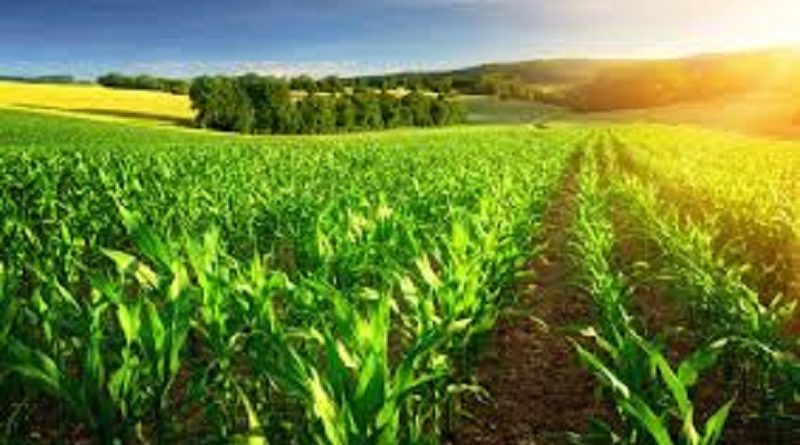 produtores agronegocio