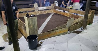 rinhamairipora-7a00b437f9a458c24490386649732715-1200x600