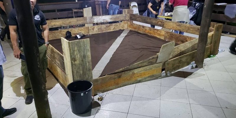 rinhamairipora-7a00b437f9a458c24490386649732715-1200x600