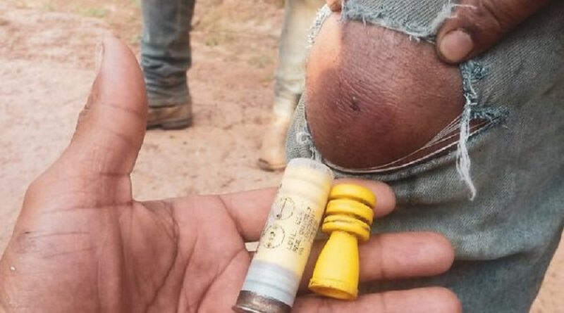 trabalhadores-castanha-600x375