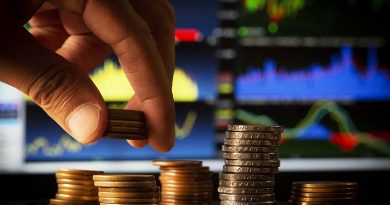 Brasília(DF), 17/06/2019 - Dinheiro, Economia, Bolsa de Valores, Real, aumento, Baixa, money, gráficos - Foto: Michael Melo/Metrópoles