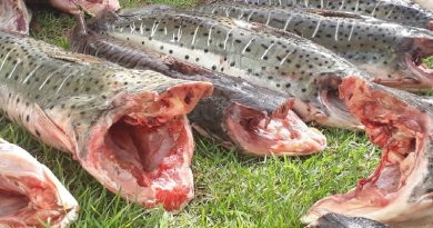 whatsapp-image-2020-01-06-at-09.30.54