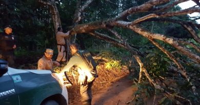 whatsapp-image-2020-01-16-at-23.41.15