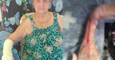 xdonaalda.png.pagespeed.ic.iHCaT9tEtX