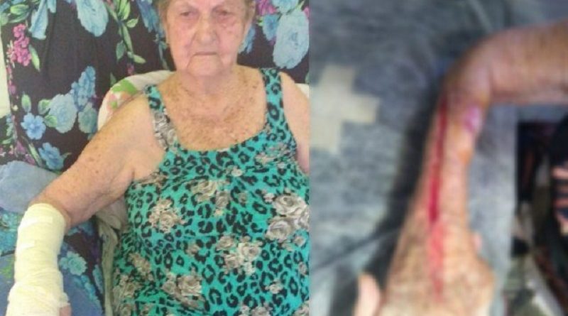 xdonaalda.png.pagespeed.ic.iHCaT9tEtX