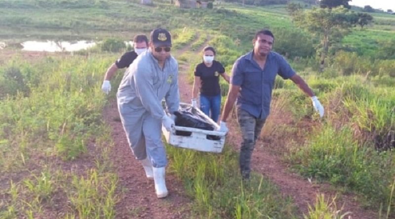 bf87a5d1-3fb6-4a84-8145-abdb4a4fe491-750x375-1-1