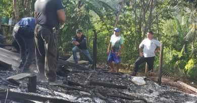 portaldoholanda-970870-imagem-foto-1amazonas