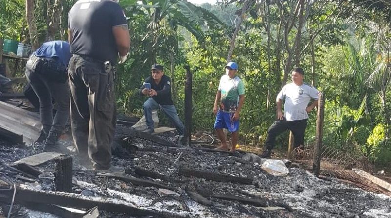 portaldoholanda-970870-imagem-foto-1amazonas