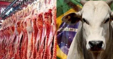 carne-brasileira-640x478