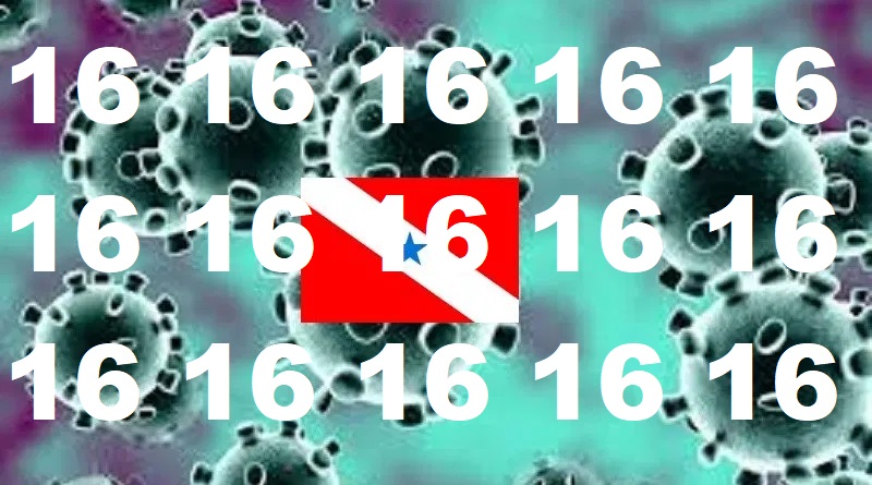coronavirus 16