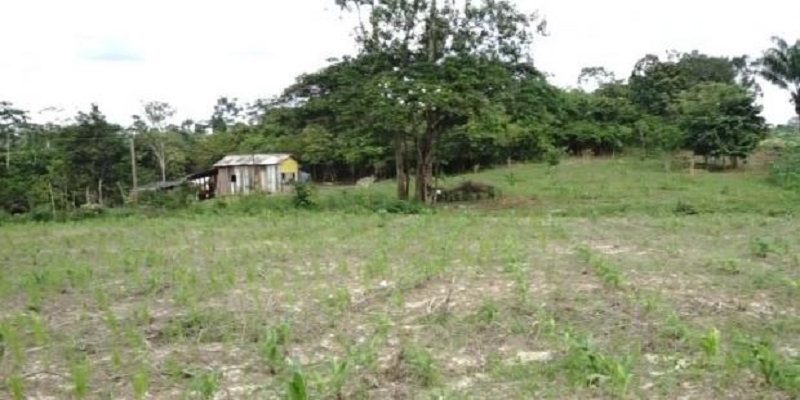 casulo2-e1552567487641