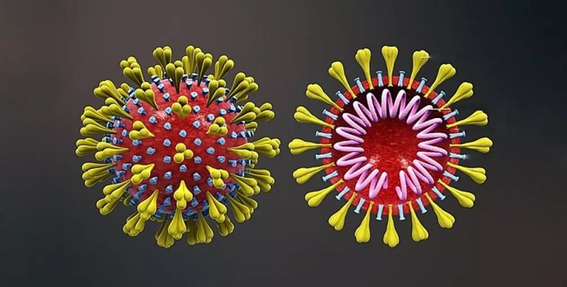 coronavirus