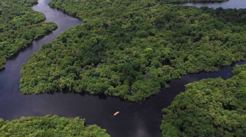 floresta_amazonica-8696707