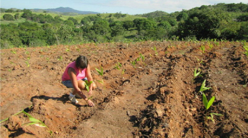 reforma_Agrária_EBC