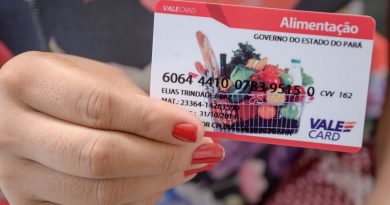 vale alimentação