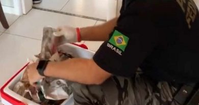 5c8a52a8-0268-4d4a-8f5a-91c94b124c83