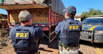 MT-madeira-Sinop-800x445-768x427