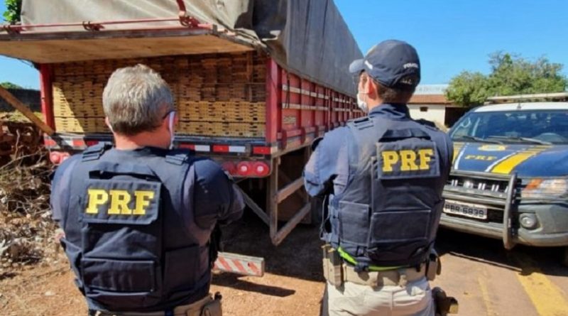 MT-madeira-Sinop-800x445-768x427