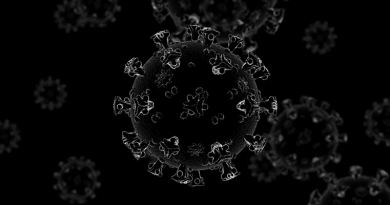corona virus