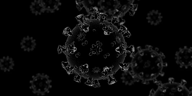 corona virus