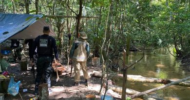 Os fiscais encontraram e apreenderam 41m³ de madeira em tora e 25m³ de madeira serrada sem autorização
Foto: Ascom / Semas