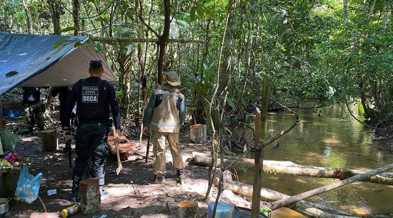 Os fiscais encontraram e apreenderam 41m³ de madeira em tora e 25m³ de madeira serrada sem autorização
Foto: Ascom / Semas