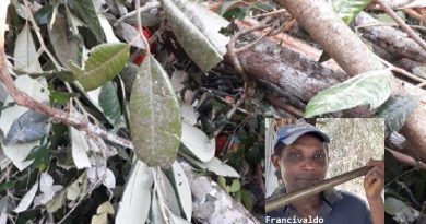 0bd11ea29d5bb23046833c11fd249471