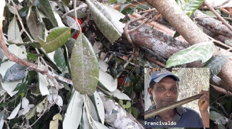 0bd11ea29d5bb23046833c11fd249471