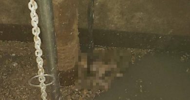 Bebe-no-esgoto-Reproduc-o