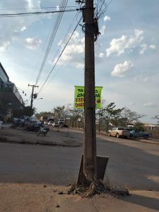 117315492_1228744637471827_8768347882436986197_n