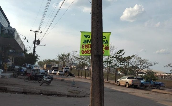 117315492_1228744637471827_8768347882436986197_n