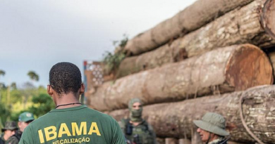 ibama