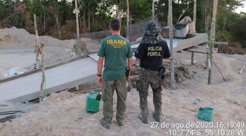 Operação da PF e Ibama multou 11 pessoas no norte de Mato Grosso — Foto: Polícia Federal de Mato Grosso