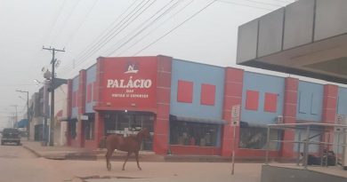 119748732_336176184493623_8441572258933693622_n