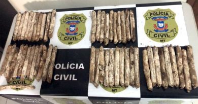 Enorme-quantidade-bananas-dinamite-apreensão-Polícia-CIvil-Guarantã-do-Norte-setembro-2020-assessoria-990x556