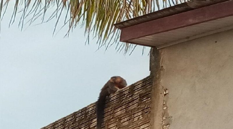 a371e8e1-cb28-4e59-81c1-a3524ffd62b4