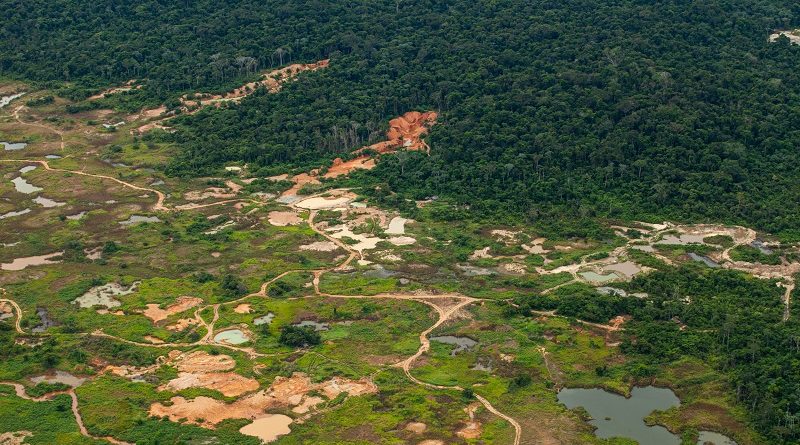 Garimpo ilegal TI kayapo_-2