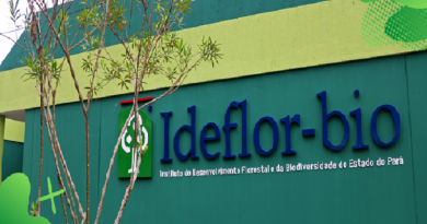 ideflor