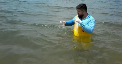 Foto: Semma/Divulgação