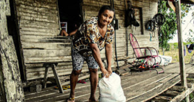 amapa recebem cesta basicas