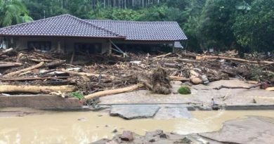 Foto: Reprodução/NSC TV