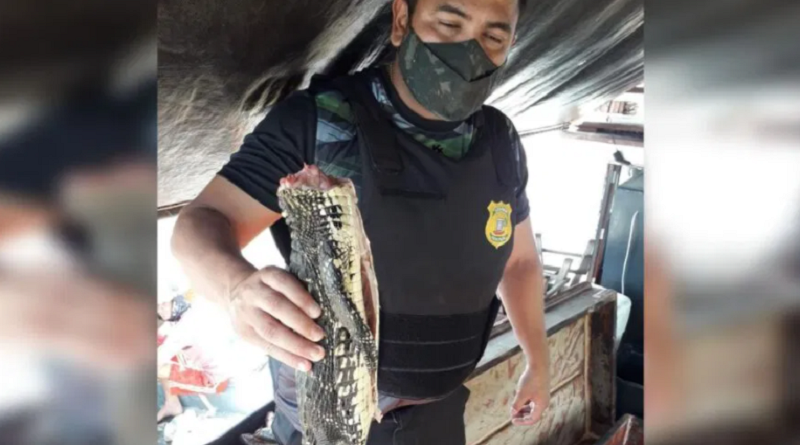 Foto: Semma/Divulgação