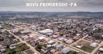 novo_progresso_fernando_martinho-800x599