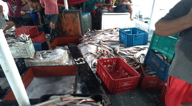 Foto: ICMBio/Divulgação