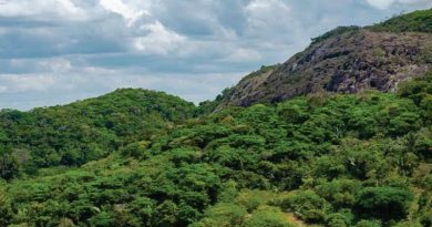 Foto: Reprodução/Governo do Estado de Pernambuco