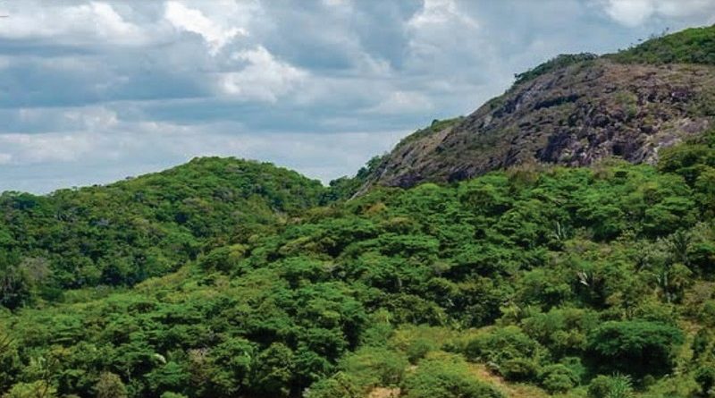 Foto: Reprodução/Governo do Estado de Pernambuco