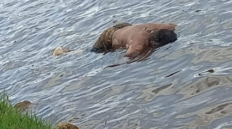 95738709-2dca-4e86-b2a8-af4a79536a4e