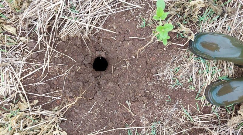 WhatsApp-Image-2020-12-31-at-17.08.34