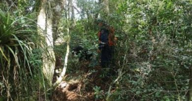 adolescente-14-anos-desaparecida-418x235